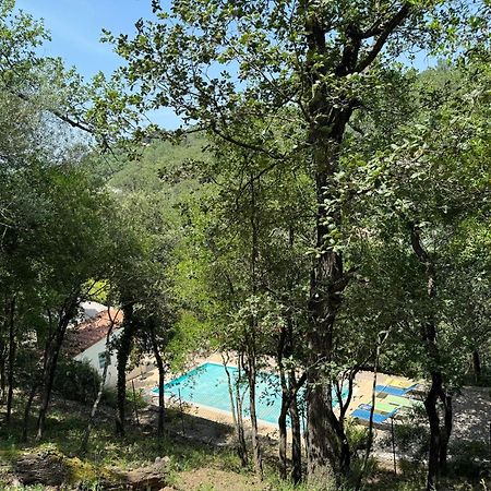 Maison Avec Piscine Chauffee Entre Mer Et Montagne Montauriol  Exterior photo