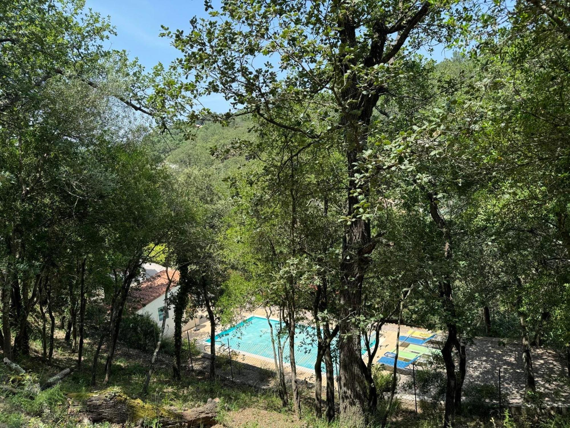 Maison Avec Piscine Chauffee Entre Mer Et Montagne Montauriol  Exterior photo